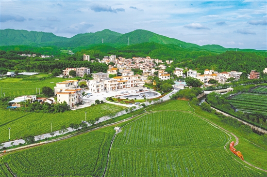 城西村是江門市重點支持建設(shè)的110個綠美鄉(xiāng)村示范村之一，2024年入選廣東省“百千萬工程”第二批典型村培育名單。