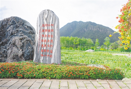 陳白沙景觀石是城西村的網(wǎng)紅打卡點。