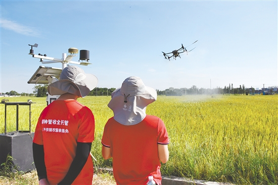 展望“十五五”，恩平市將圍繞“產(chǎn)購儲加銷”全鏈條協(xié)同發(fā)力，不斷擦亮農(nóng)業(yè)特色產(chǎn)業(yè)品牌。