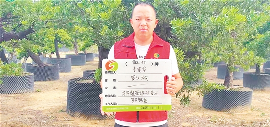 工作人員為種植戶辦理花卉苗木氣象指數(shù)保險(xiǎn)承保出單。