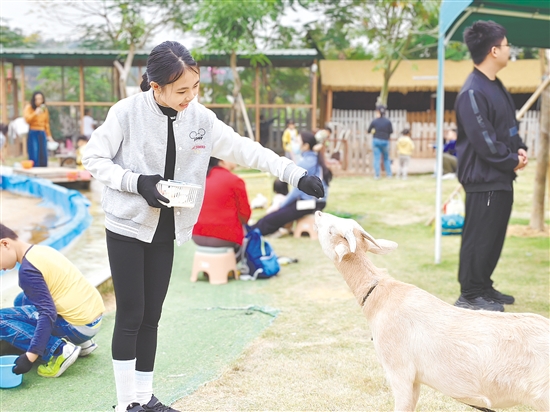 在江門(mén)版“瘋狂動(dòng)物城”里，小朋友與小動(dòng)物親密互動(dòng)，感受現(xiàn)實(shí)中的童趣與奇妙。