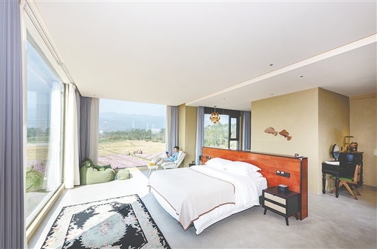 小新民宿與叢林、稻田、大山等自然景觀融為一體，讓游客最大限度感受自然的魅力。