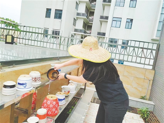 清積水、滅蟲卵，既省錢又有效。