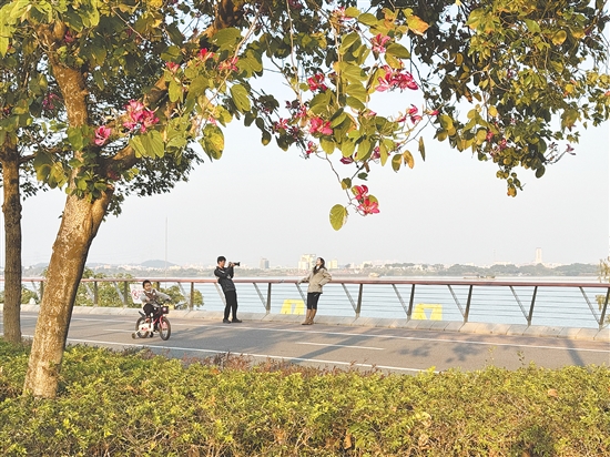 濱江綠道景致清幽，成為市民曬太陽(yáng)的優(yōu)選之地。