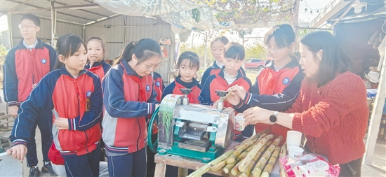 師生一同榨甘蔗汁。