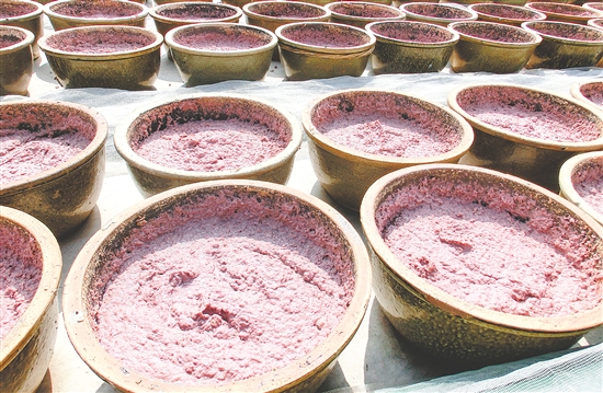 蝦醬要在陽光下晾曬約8天，每日攪拌數次。