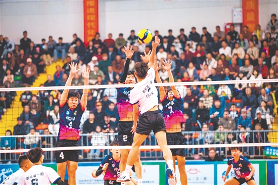 作為“排球之鄉(xiāng)”臺山的現(xiàn)象級賽事，“僑VA”承載著百年排球文化傳承與僑鄉(xiāng)情感聯(lián)結(jié)的雙重使命。