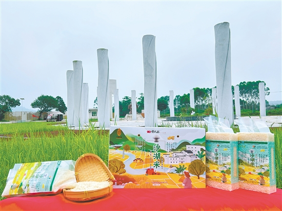 恩平大米成功獲評(píng)國(guó)家地理標(biāo)志農(nóng)產(chǎn)品、全國(guó)名特優(yōu)新農(nóng)產(chǎn)品、國(guó)家區(qū)域公用品牌、廣東省名牌產(chǎn)品，并入選“廣東好大米”十大品牌。