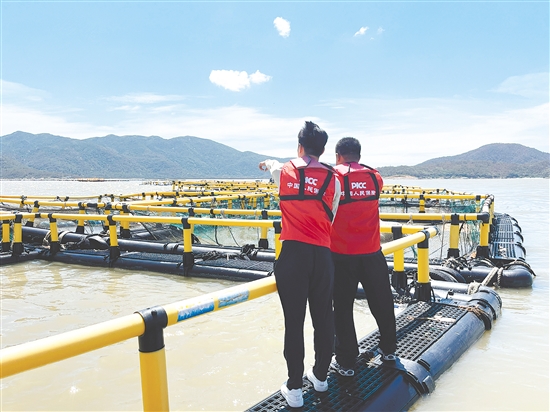 “樺加沙”過(guò)境后，該公司農(nóng)險(xiǎn)理賠人員搶抓時(shí)間到海洋牧場(chǎng)查勘定損。