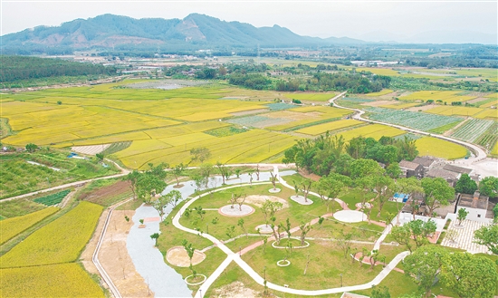 沖蔞鎮(zhèn)深入開展農(nóng)村人居環(huán)境整治，推進“三清三拆三整治”，實現(xiàn)“拆后即建、拆建同步”，塑造特色鄉(xiāng)村風貌。