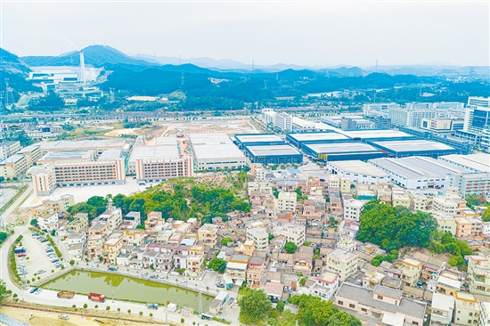 產(chǎn)業(yè)振興是鄉(xiāng)村振興的重中之重。棠下鎮(zhèn)蓮塘村主動融入蓬江產(chǎn)業(yè)園發(fā)展大局，通過“物業(yè)代建+返租”模式實現(xiàn)村集體經(jīng)濟與產(chǎn)業(yè)發(fā)展的互促雙贏。劉淑君