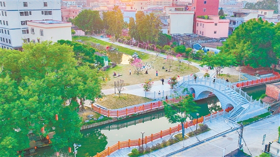 隨著“百千萬工程”的深入推進，蓬江區(qū)持續(xù)整治與提升人居環(huán)境，讓鄉(xiāng)村水更清、景更美、環(huán)境更宜居，實現(xiàn)華麗蝶變。圖為荷塘鎮(zhèn)高村村將荒地魚塘改造為綠美公園。劉淑君