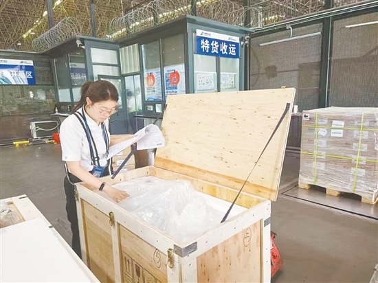 瑞鱗水產(chǎn)一批精心挑選的優(yōu)質(zhì)錦鯉被妥善封裝后，完成相關(guān)手續(xù)后將被運(yùn)往歐盟。受訪者供圖