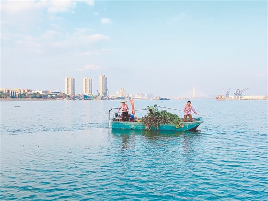 開(kāi)平市以愛(ài)國(guó)衛(wèi)生運(yùn)動(dòng)為抓手，以精細(xì)化環(huán)衛(wèi)作業(yè)守護(hù)城市潔凈。