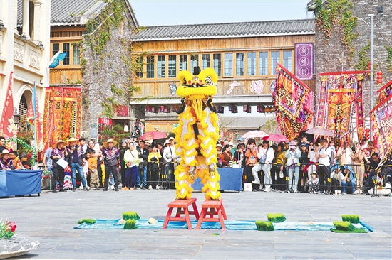 春節(jié)假期，鶴山市將非遺賽事、民俗活動(dòng)與新春年味深度融合，各地非遺活動(dòng)輪番登場(chǎng)，為馬年新春增添一抹亮麗的文化色彩。