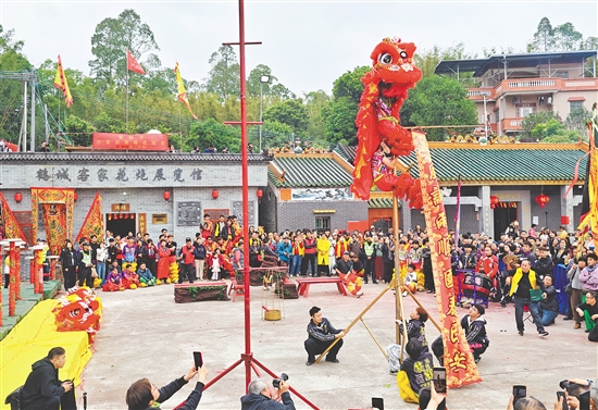 “小官田花炮會(huì)”現(xiàn)場(chǎng)精彩的鶴山獅藝表演吸引眾人圍觀。