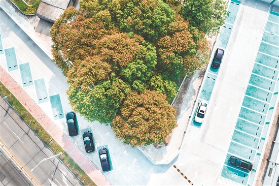 改造后的都斛主街既保留了城鎮(zhèn)煙火氣，又兼具現(xiàn)代宜居功能。這是都斛主街停車場。