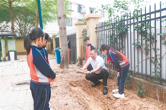 江海區(qū)朗晴小學(xué)副校長曾志能向?qū)W生講述甘蔗的種植過程。