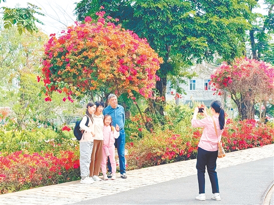 三月賞花游成江門旅游熱點(diǎn)。