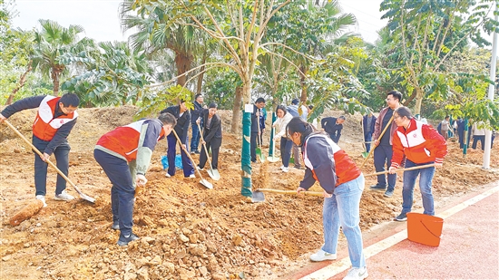 黨員、志愿者、群眾代表等默契配合，為臺山大地添上一抹新綠。