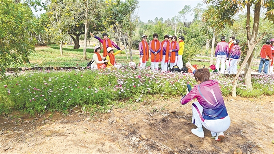 臺山紅嶺種子園的格?；ㄊ㈤_，粉白相間，將氛圍感拉滿。