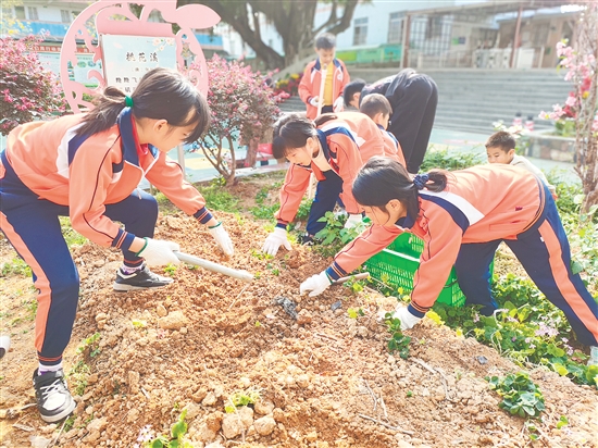 學(xué)生們?cè)诖喝张柪锊ハ孪Ｍ姆N子，體驗(yàn)勞作的樂趣。