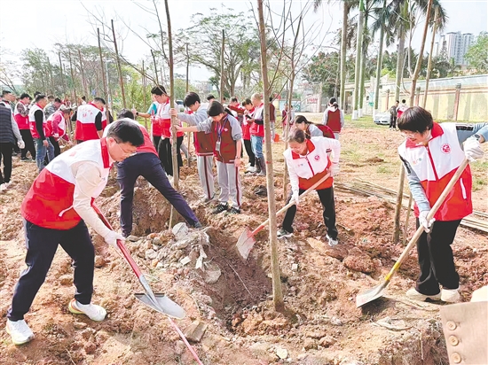 恩平市11個鎮(zhèn)（街）全域聯(lián)動、同步發(fā)力，累計栽種火山榕、香樟、落羽杉等鄉(xiāng)土適生苗木2300多棵，全力實現(xiàn)“栽一棵、活一棵，種一片、成一片”的建設(shè)成效。