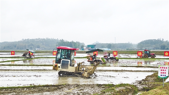 春耕生產(chǎn)現(xiàn)場(chǎng)會(huì)上，插秧機(jī)、拖拉機(jī)來回穿梭。