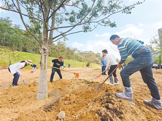 2026年“同心林”義務(wù)植樹活動現(xiàn)場，各界代表在江門種下一片新綠。郭永樂