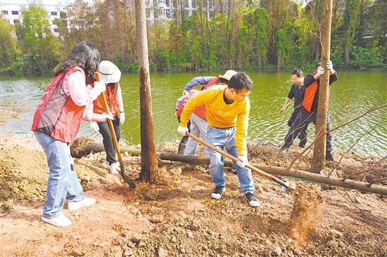植樹活動現(xiàn)場，黨員干部共同種下落羽杉，為江海增綠，共繪綠美生態(tài)新畫卷。