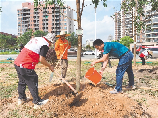 參加活動人員落鏟培土、扶苗澆水，合力為臺山添上新綠。