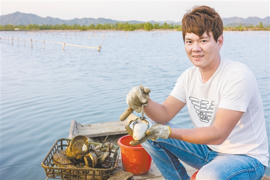 深井鎮(zhèn)盤活小江村占地面積827平方米的閑置用房，投入150萬元完成生蠔加工工場及專賣店建設(shè)項(xiàng)目，推出金蠔、蠔豉、蠔油等加工產(chǎn)品。圖為生蠔養(yǎng)殖基地。