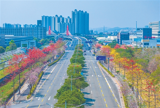江海區(qū)持續(xù)推進基礎(chǔ)設(shè)施建設(shè)，進一步完善交通網(wǎng)絡(luò)。圖為金甌路西延線。
