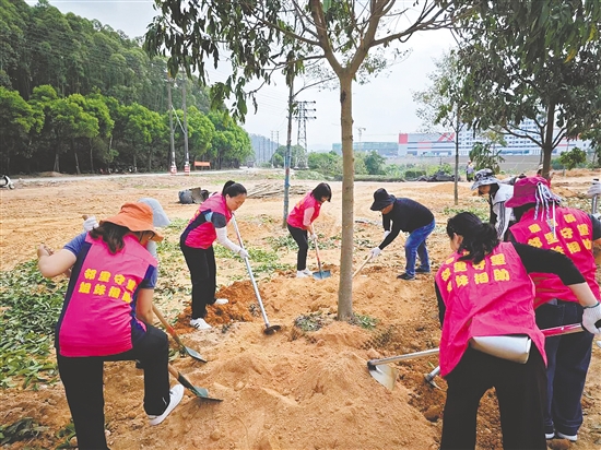 大家分工協(xié)作，種下新綠。