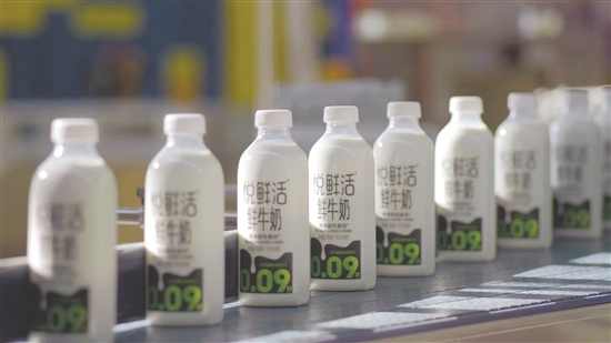 君樂(lè)寶“悅鮮活鮮牛奶”在廣東市場(chǎng)的占有率已達(dá)30%左右。
