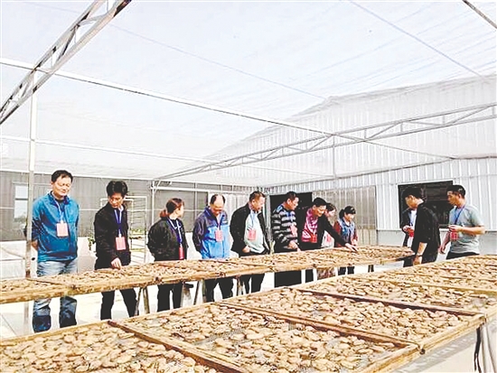 人大代表到橫山村生蠔產(chǎn)銷基地調(diào)研。
