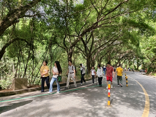 參賽職工沿著蜿蜒山道健步前行，在暢快運(yùn)動(dòng)的同時(shí)，沉浸式領(lǐng)略大雁山的秀美風(fēng)光。