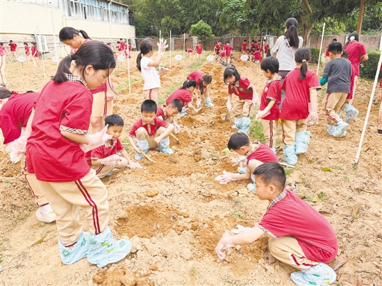 該校打造“幸福勞動種植基地”，讓學(xué)生全程參與播種、養(yǎng)護(hù)、生長、收獲全周期農(nóng)耕體驗(yàn)。