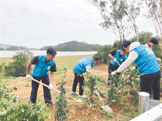 活動在環(huán)湖碧道沿線種下1000棵簕杜鵑，勾勒出一道清新靚麗的生態(tài)風(fēng)景線。
