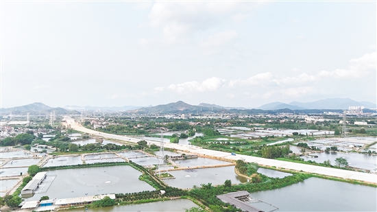 國(guó)道G240線主線建設(shè)如火如荼，其中，途經(jīng)大澤鎮(zhèn)沿江村路段全長(zhǎng)約2公里。