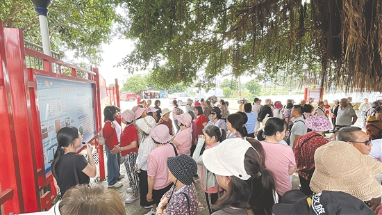 崖門鎮(zhèn)橫水村吸引大批灣區(qū)游客前來游玩、采購農(nóng)產(chǎn)品。