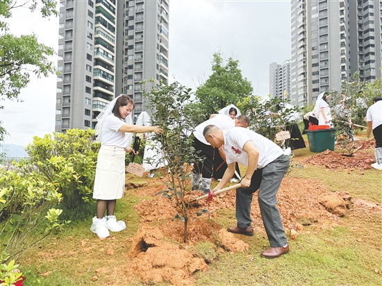 新人們前往福美山公園植樹區(qū)，以植樹添綠的方式見證愛情，寓意愛意永恒、相守白頭。