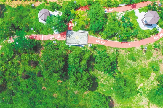 綠意盎然的生態(tài)小公園。