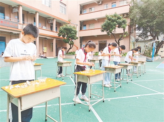 三、四年級舉行剝蒜比賽，小選手們捏松蒜衣，一點(diǎn)點(diǎn)撕去外皮，雪白飽滿的蒜瓣紛紛現(xiàn)身。