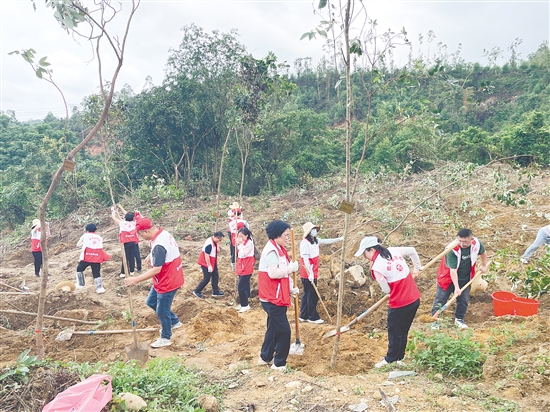 熱心市民植下一片新綠。 熱心市民植下一片新綠。