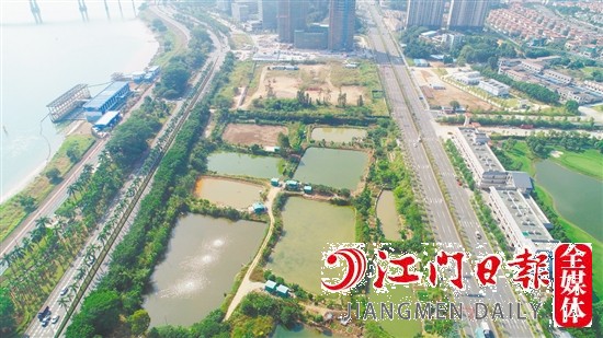 濱江大道旁地塊實景圖。