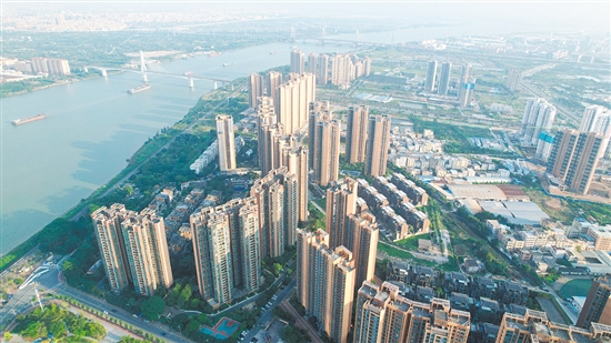 外海板塊樓盤多了起來(lái)。