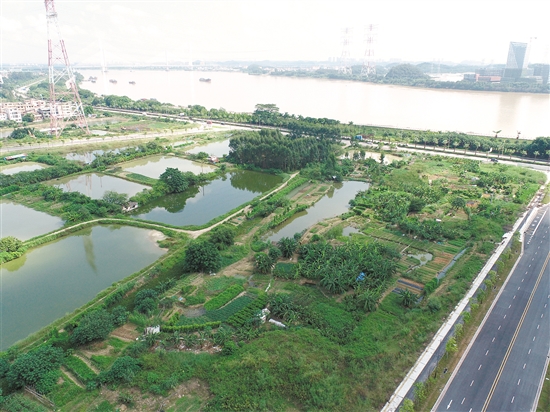 成交地塊西側(cè)為一線西江，景觀一流。