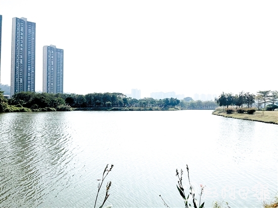 近年來，江門居住環(huán)境越來越好。