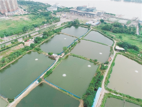 臨江路與金甌路交界西南側(cè)地塊位于外海港澳碼頭西側(cè)。